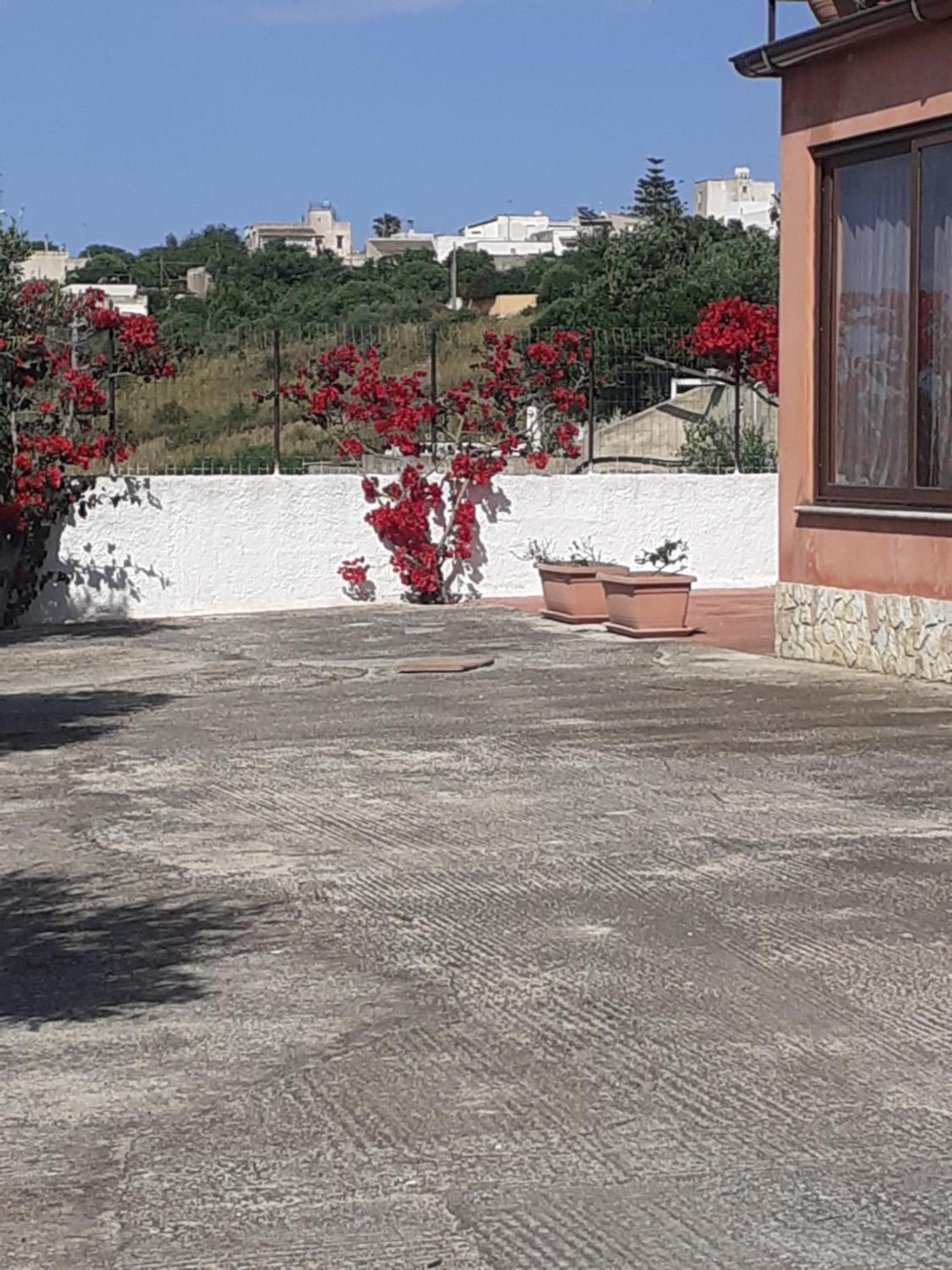Panorama Casa Vacanze 马尔萨拉 外观 照片